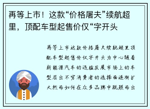 再等上市！这款“价格屠夫”续航超里，顶配车型起售价仅“字开头